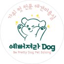예뻐져라DOG 이미지