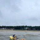 마검포태안캠핑장 - 2329 | 마검포태안캠핑장