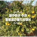 월림공간올드보이H | [제주펜션] 한림펜션 추천 "월림공간올드보이H"
