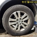 생동감 이미지