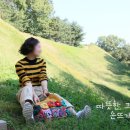 꽃뜨개방