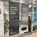 힐링스포&스파 | 의정부 헤드스파 두피관리 맛집 뷔에르 60분 코스 후기