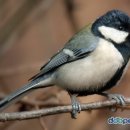 안곡중학교 이미지