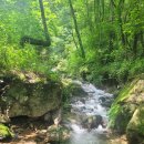 서산트레킹클럽, 8월 11일(일) 영월 내리계곡...숲길 걷기 & 물놀이 이미지
