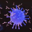 중랑365의원 이미지