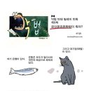 "금산분리법" 완화가 오늘의 메인이었다면서요? 이미지