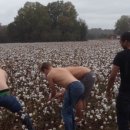 완식 농장 이미지