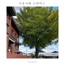 서촌공원 | 서촌 카페 스태픽스 | 2025 단풍 현황 후기