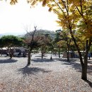 예그리나 이미지