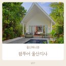 울산신혼여행 팜투어 울산지사 울산허니문박람회 대만족