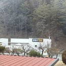 델로 | 담양 풀빌라델로 후기｜패밀리 객실 실제 모습 정리