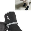 신발신은 강아지 이미지