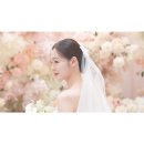 법인자연캠 | W10. 가성비 본식DVD 테레즈필름 jnj아트컨벤션 계약 후기 + 추천인 코드 공유