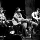 배따라기 이미지