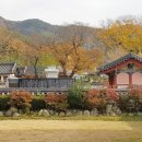 이반성면-7 Daum카페