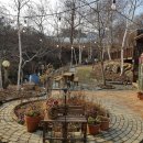 숲속앤정원 이미지