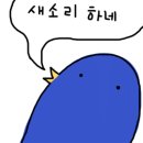 멍글멍글펫글램핑 이미지
