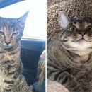 사랑한스푼 이미지