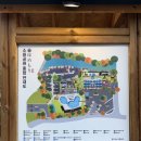 모리 | 국내 일본식 료칸 유메모리 내돈내산 후기