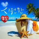 행복하자 Daum카페