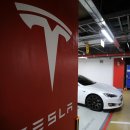 테슬라코리아 유한회사 이미지