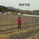 숙이농장 이미지