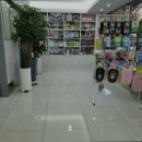 박한준종합동물병원 | 시흥동물병원 박한준종합동물병원 신뢰할 수 있는 동물병원
