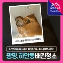 세븐일레븐(광명하안중앙점) | 하안동 보일러배관청소 비용 중앙난방, 수도배관 세척후기! (광명시 하안주공4단지)