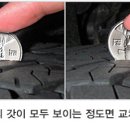 아이언게러지 이미지