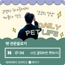 마미나은 이미지