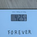 위드댄스학원 | 2026년 02월