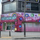 찌꼬뽀꼬 발산2호점 이미지