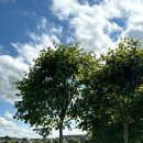 아일랜드민박 이미지