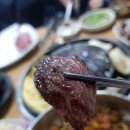 오가네정육식당