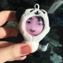 한양대기숙사 페달로옆 | 우리의 심장이 같은 속도로 뛸 수 있도록
