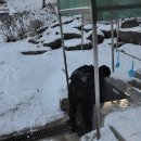 이충구농장 이미지