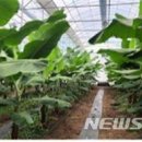 주식회사 제이디 이미지