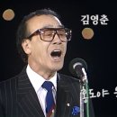 홍도야울지마라 이미지