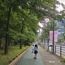 영순이네손만두