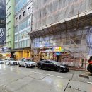 청흥 | 홍콩 딤섬 맛집 청흥키 셩완 솔직 후기