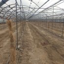 홍이농장 이미지