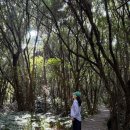 조수리 플로어 | 10월 제주여행_02🌅(곶자왈도립공원, 테이크타임커피로스터스, 조수리플로어, 제주돗, 도두반점)