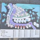 더블스테이가평 | 온 가평 하리] 애견동반펜션 독채 풀빌라 바베큐 후기 남이섬근처 펜션추천 가족여행펜션추천 애견동반...
