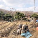 강하보건지소 이미지