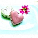 포레이디