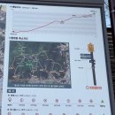 옥녀봉약수터 | 청계산 초보 등산코스 윈터골 출발 옥녀봉 후기