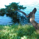 의림지-01 Daum카페