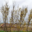 산이면사무소 이미지