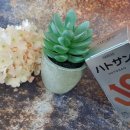 고혈압의 합병증 | 고혈압에 좋은 영양제 선택한 후기