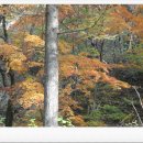 창영농장 | [10/25~10/28] 3박4일 창영 우포늪 일대 여행